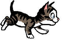Katze